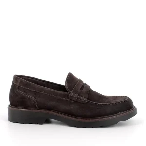 IGI&CO 6609833 CAFFE