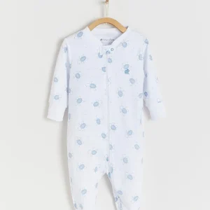 ENTERITO JILL TURTLES