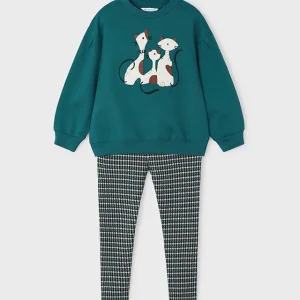 Conj. Leggings estampado gatitos botella