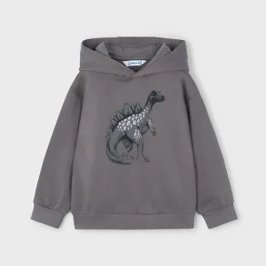 Sudadera embossed dinosaurio gris