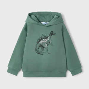 Sudadera embossed dinosaurio abeto