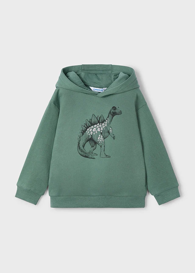 Sudadera embossed dinosaurio abeto
