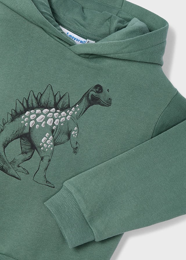 Sudadera embossed dinosaurio abeto - Imagen 3