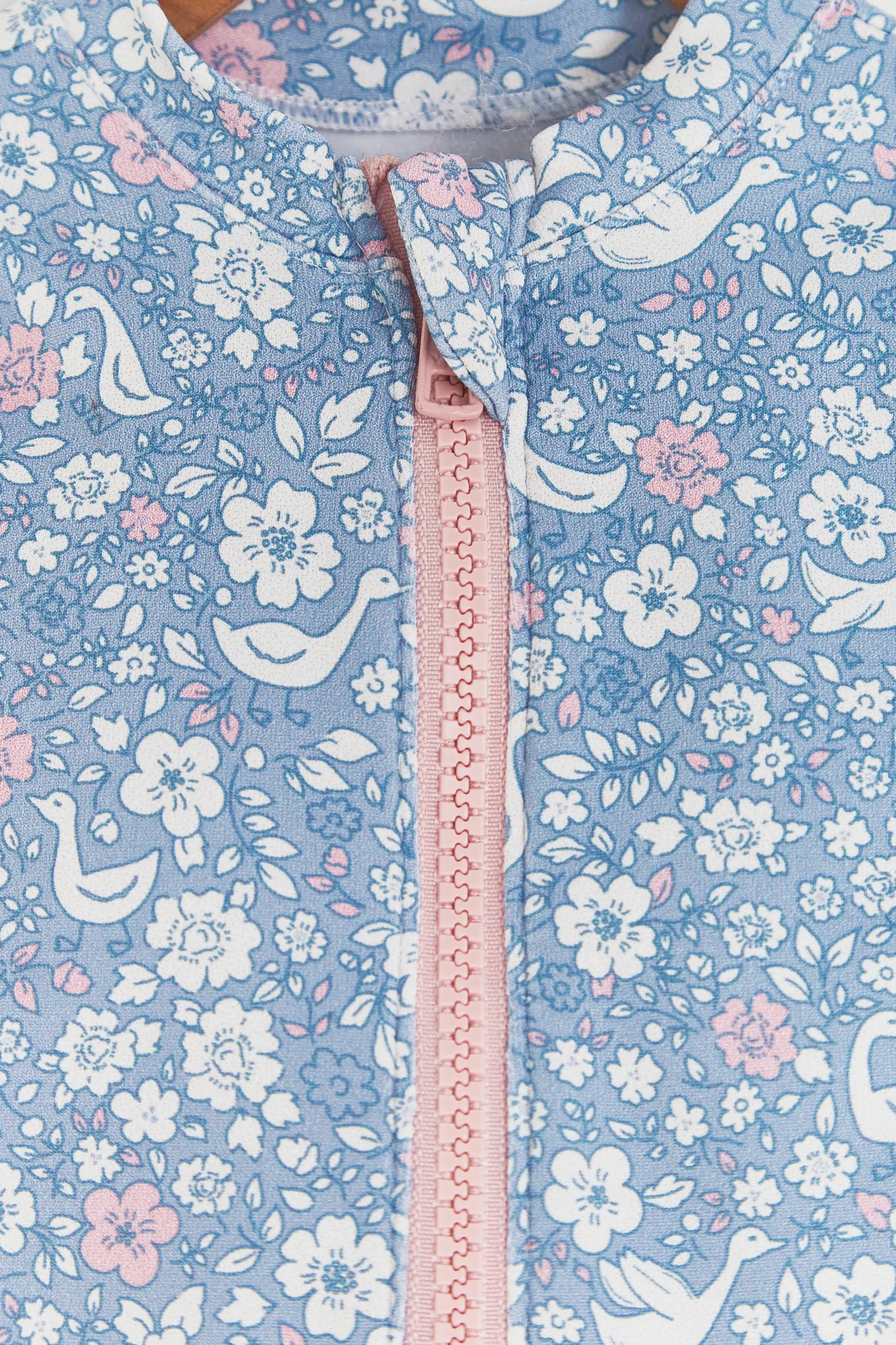 ENTERO GOOSE BEACH - Imagen 4