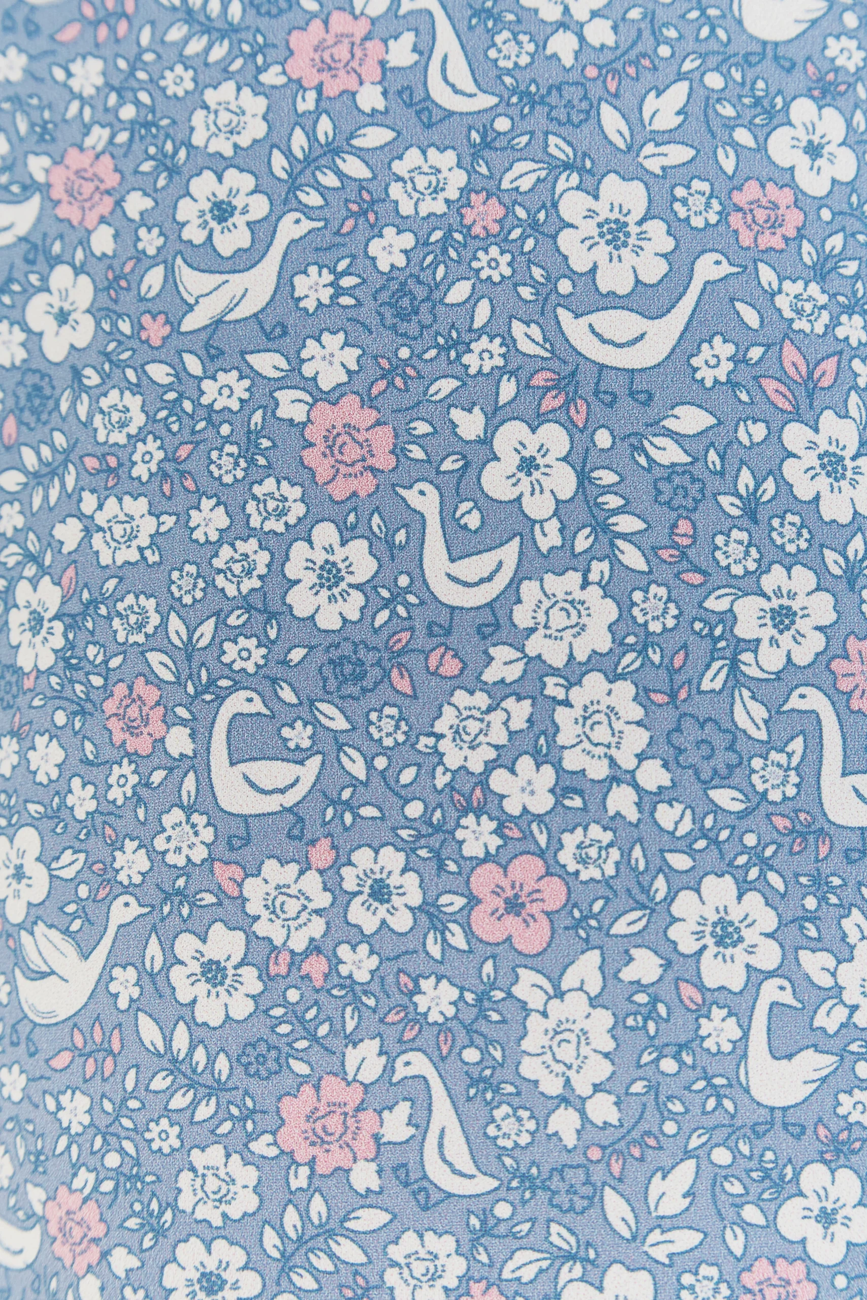 ENTERO GOOSE BEACH - Imagen 5