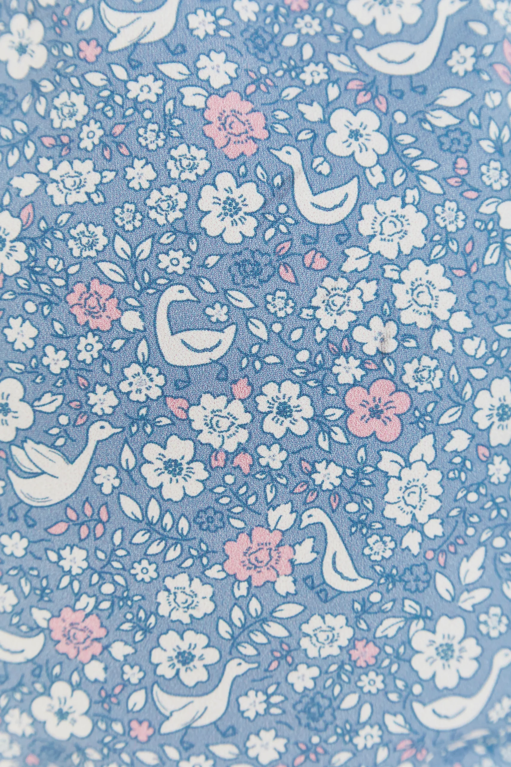 TDB KAREN GOOSE BEACH - Imagen 4