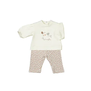 Conj. 2 piezas perrito tiramisu