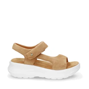 PANAMA JACK NAROA B2 VELOUR MARRÓN 50945