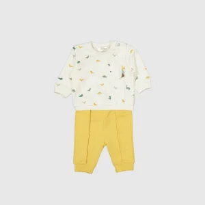 Conj. 2 piezas dinosaurios miel