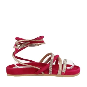 ITSE JANET 13550 ROSA