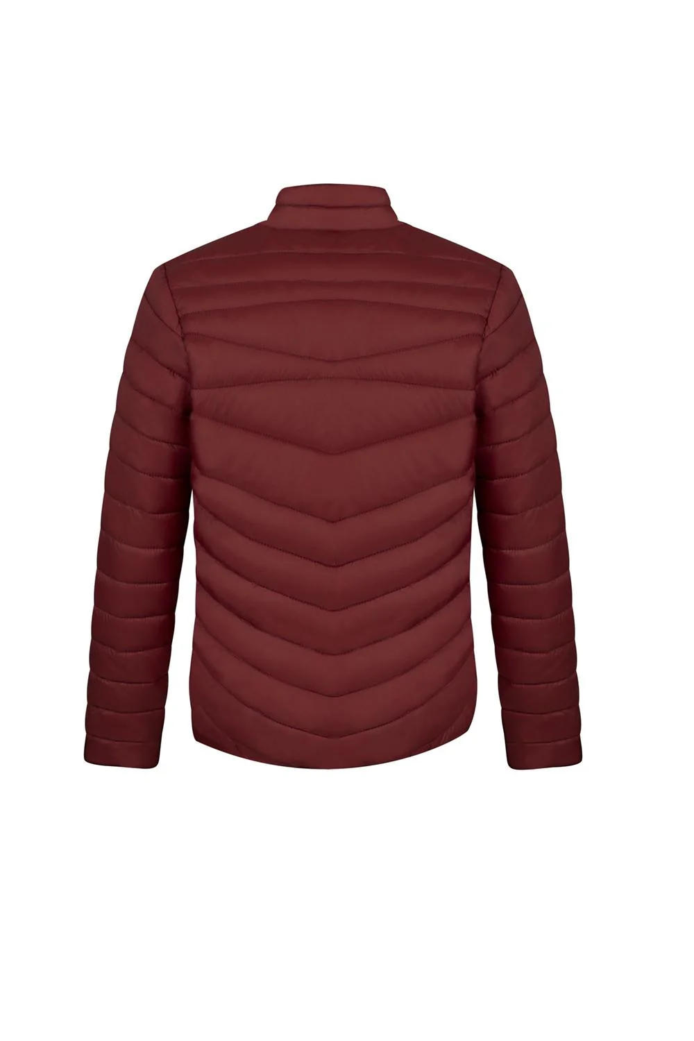 CHAMARRA ULMER - Imagen 4