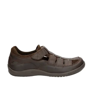 Panama Jack velcro Meridian Basics C1 MARRON -51284