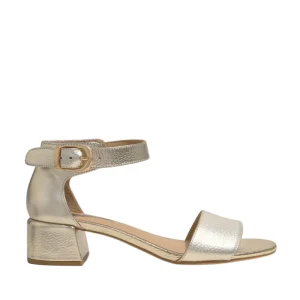 Regarde le Ciel yeremi-03*  Platino -50274