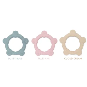 Mordedera Baby Turtle