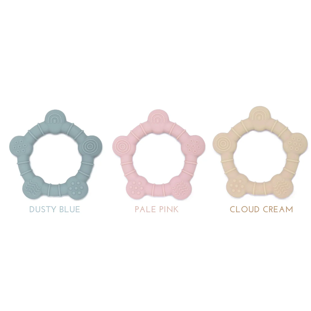 Mordedera Baby Turtle