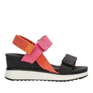 Xti 143848 Multicolor -50915