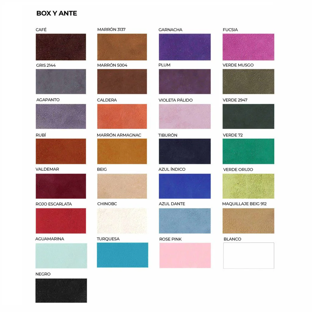 Zapato de flamenco M74 BLUTCHER CABALLERO de Begoña Cervera - Imagen 6