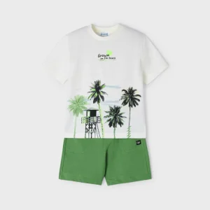 Conj. punto "palmeras"