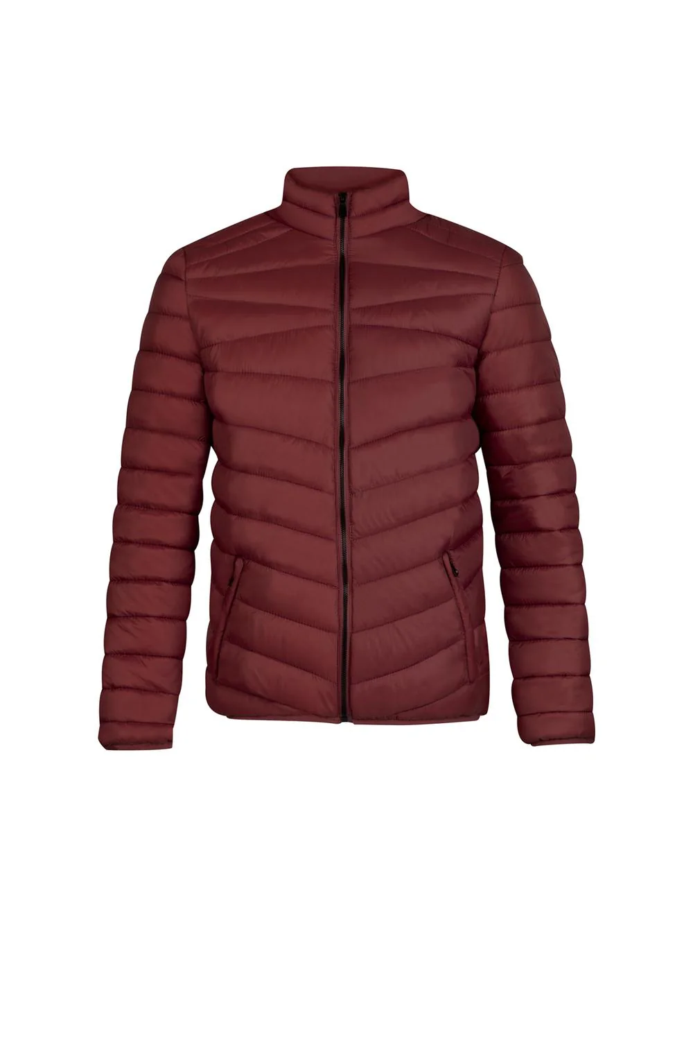 CHAMARRA ULMER - Imagen 3