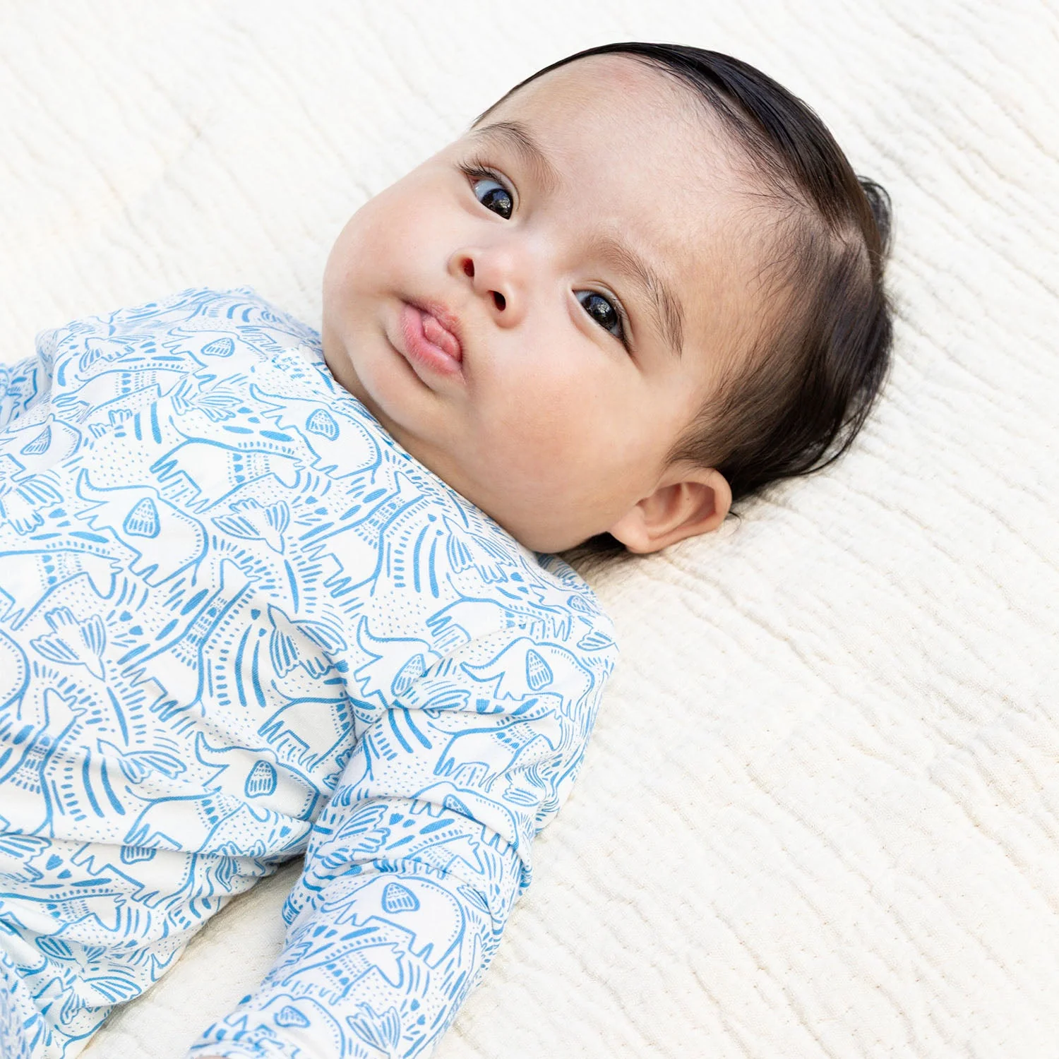 BLUE HERDS OF A FEATHER MAGNETIC FOOTIE - Imagen 7